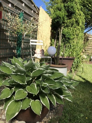 Garteneindruck