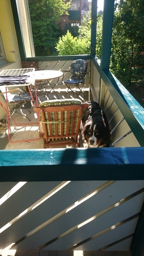 die Sonne geht auf auf der Terrasse Menuett danke nach Remseck :-)