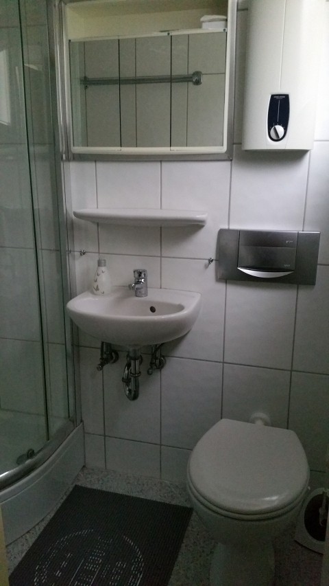 natur pur nur dach haus in leinsweiler mit garten