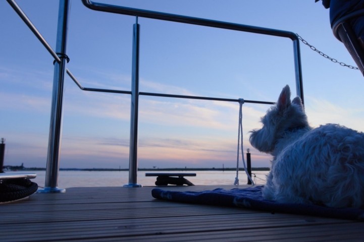Terrasse Hausboot Fjord Aquila Wendtorf