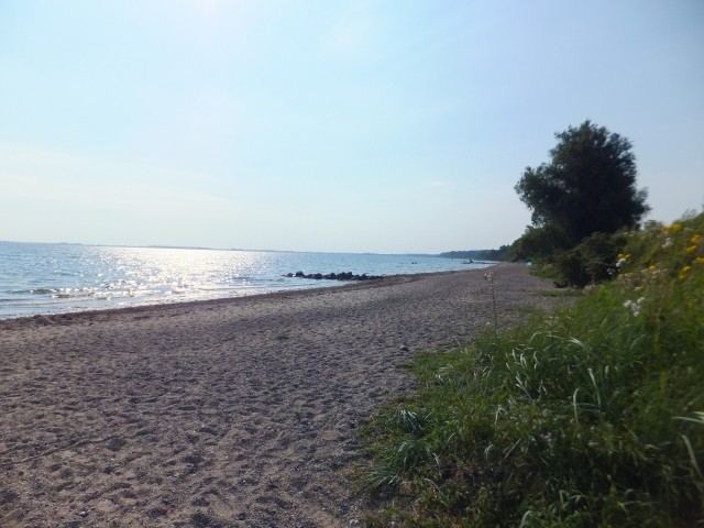 Hundestrand am Morgen
