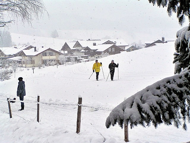 Auch Loipen und Winterwanderwege beginnen direkt hinter dem Haus (idealer Ausgangspunkt zur Entdeckung der Umgebung ganz ohne Auto !!!)