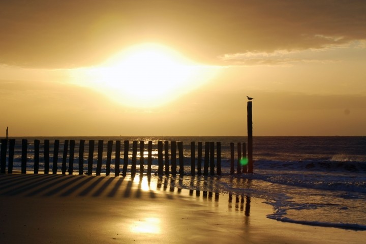 Strand...