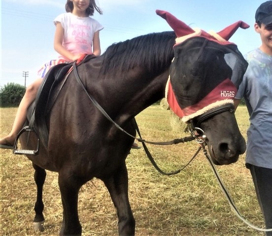 reiten moeglichkeit