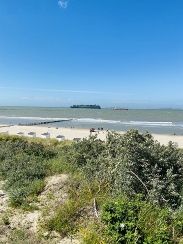 Deichblick