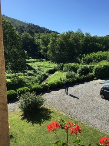 Sicht auf den Wald 