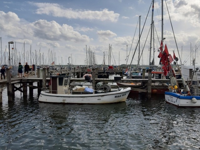 Hafen von Maasholm