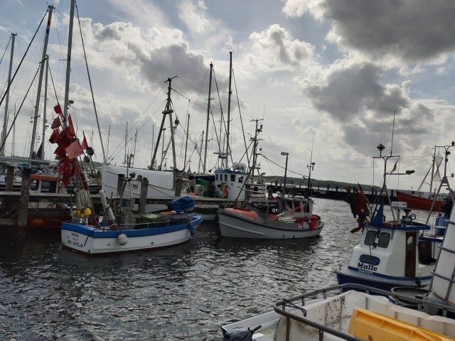 Hafen von Maasholm