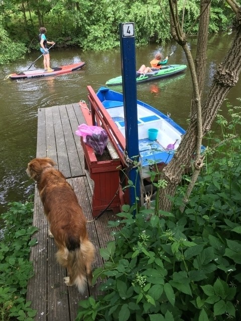 Der eigene Bootssteg am Binnenhafen, manche Hunde gehen auch gern an Bord
