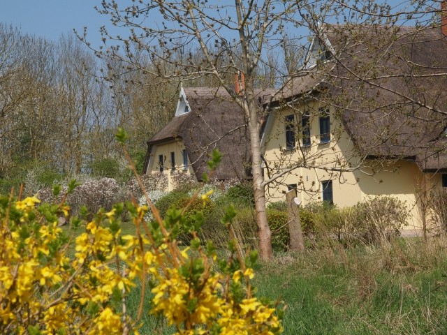Blick in die Nachbarschaft (hinteres Haus is unseres)