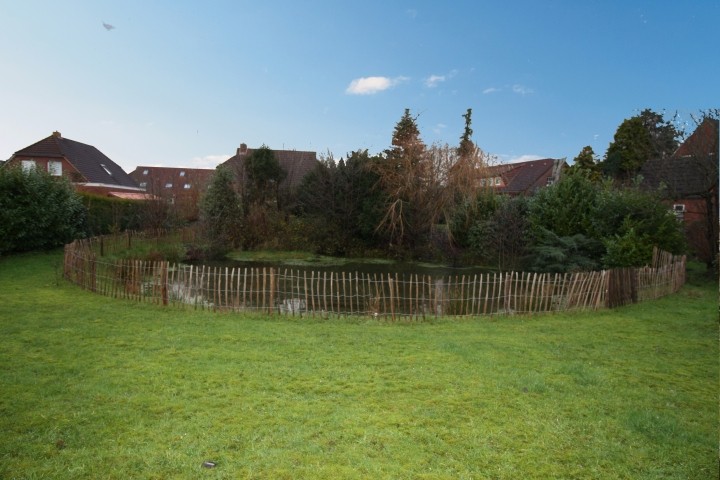 Blick Gartenteich
