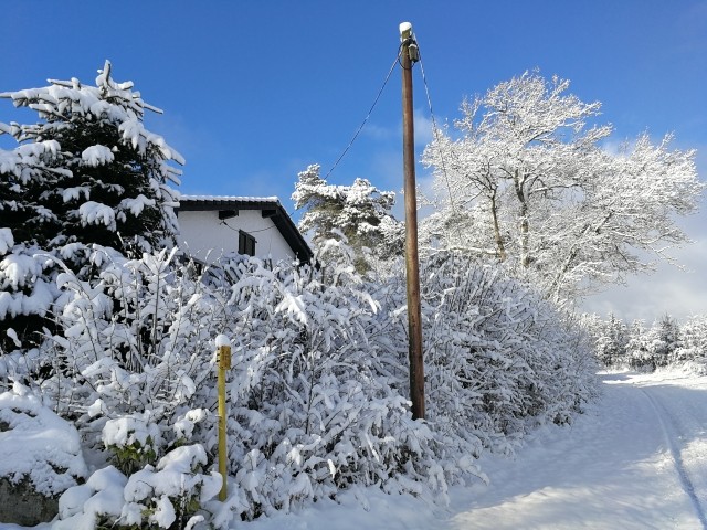Winter. Das Haus liegt in Randlage am Forstweg. 