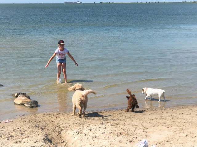 Hundestrand Lemmer