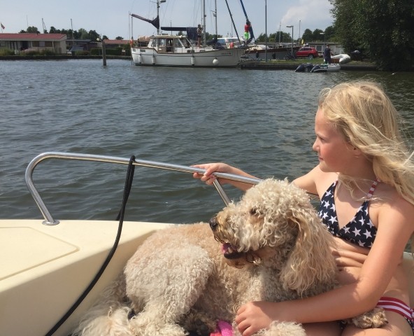 Hund mit aufs Boot