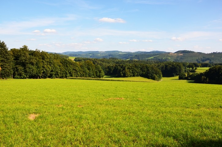 Natur Pur im Melbecketal.