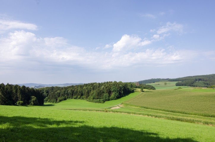 Natur Pur im Melbecketal.