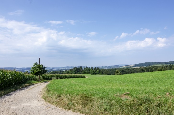 Natur Pur im Melbecketal.