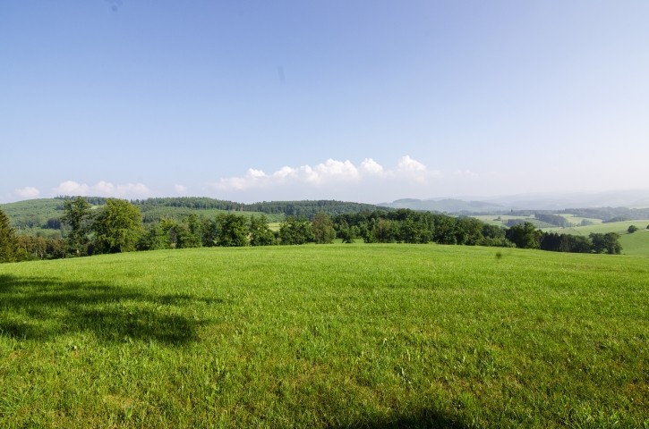 Natur Pur im Melbecketal.