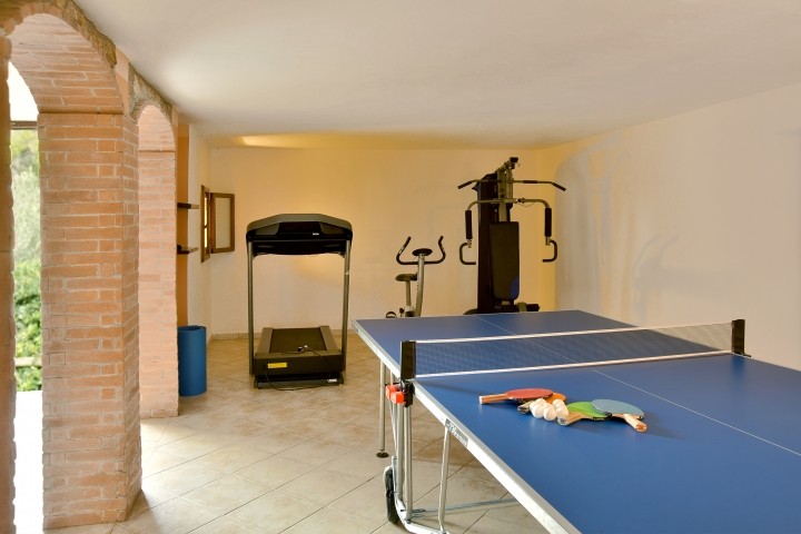 Sport