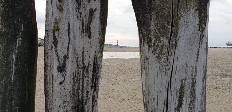 Blick zum Leuchtturm von Breskens