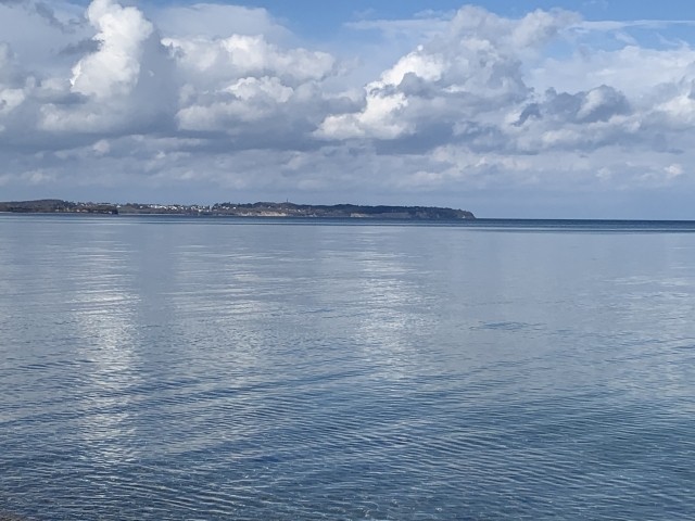 Ostsee Natur Impressionen