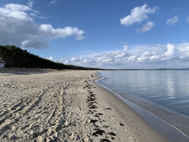 Ostseestrand mit Hundestrand