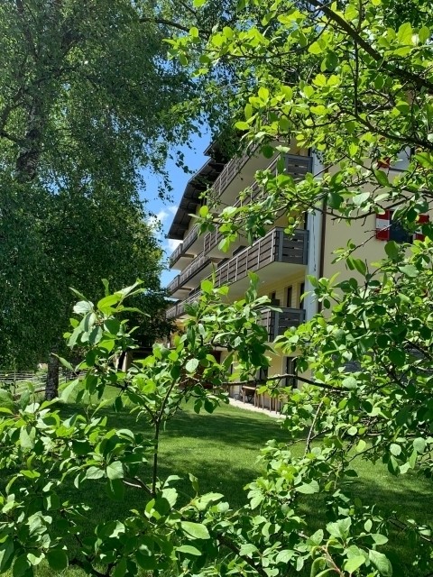 Hotel zum Lamm - Garten
