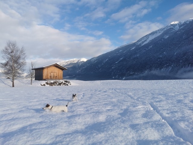 Wintervergnügen in Tarrenz