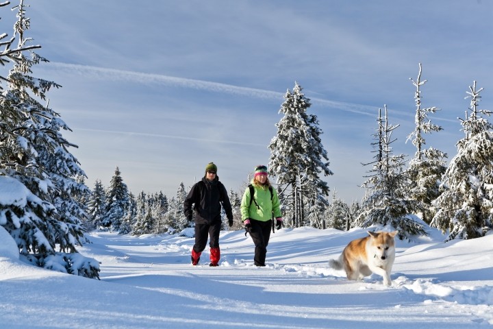 Winterparadies