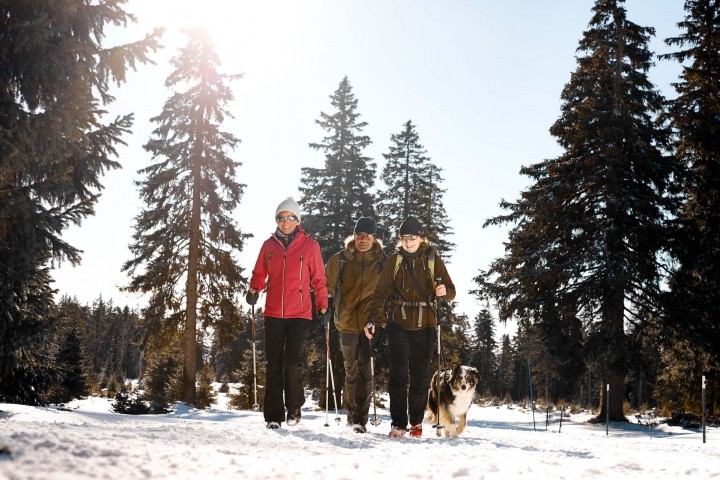 Winterspaziergang