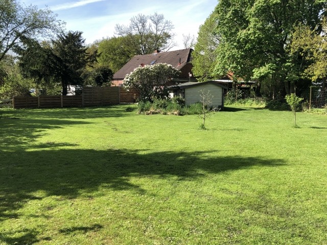 Blick vom hinteren Garten  aufs Haus 