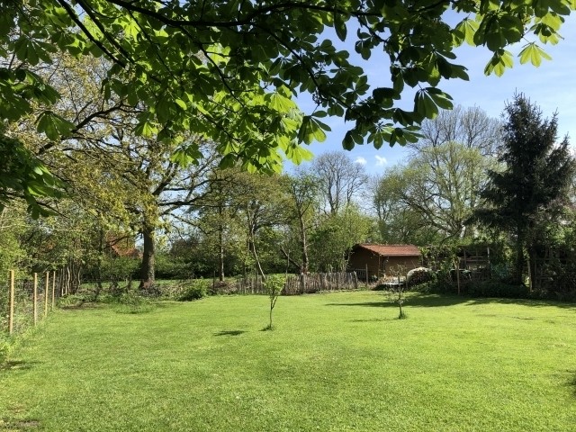 Blick in den hinteren, umzäunten Garten