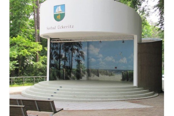 Kulturmuschel am Strand