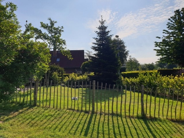 der Garten