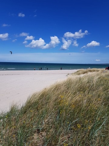 Sehlendorfer Strand 