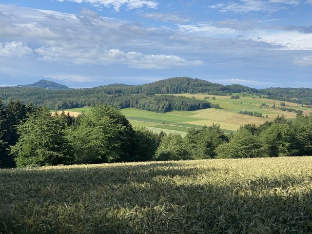Blick zur Milseburg