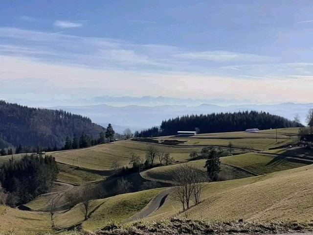 Umgebung