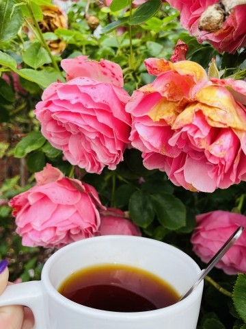 eine Tasse Tee genießen im Garten