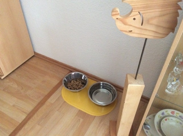 Essbereich Hund