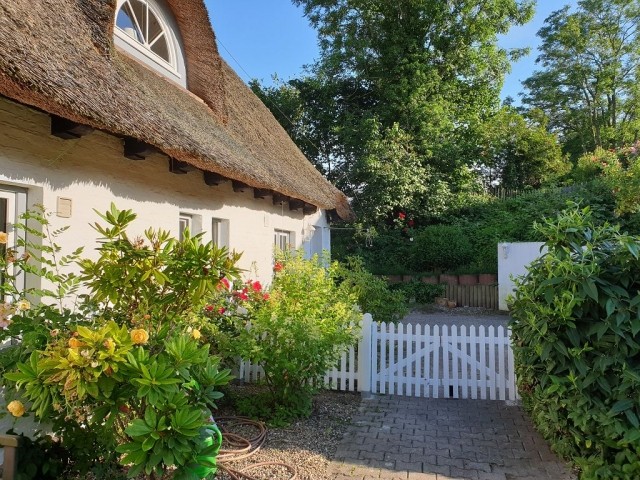 Blick in den Hof