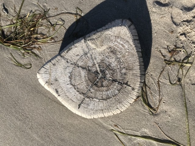 Buhnenstrand