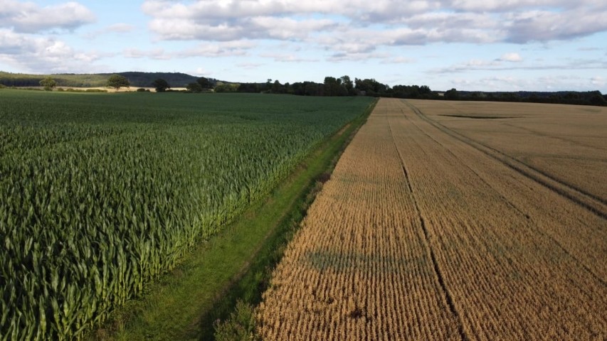 Impressionen von der Umgebung 
