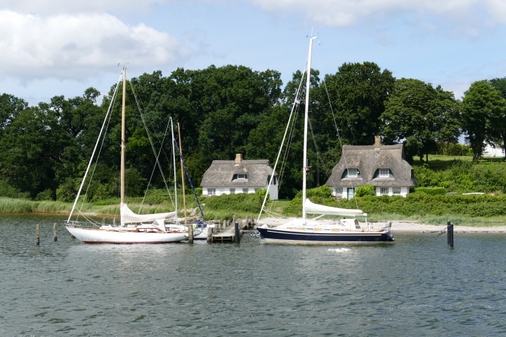 Die Schlei