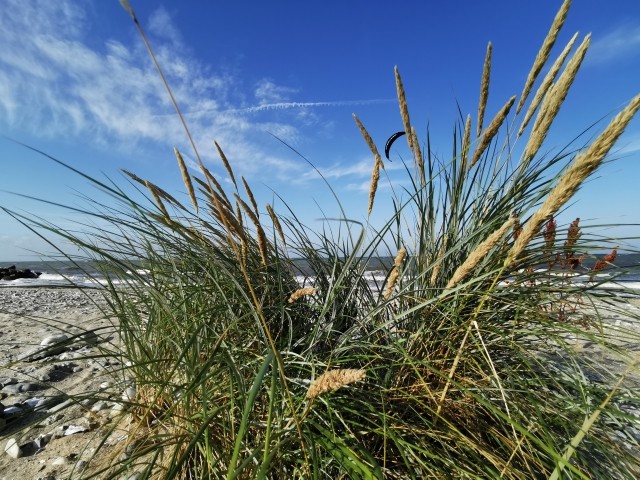 Strand Presen