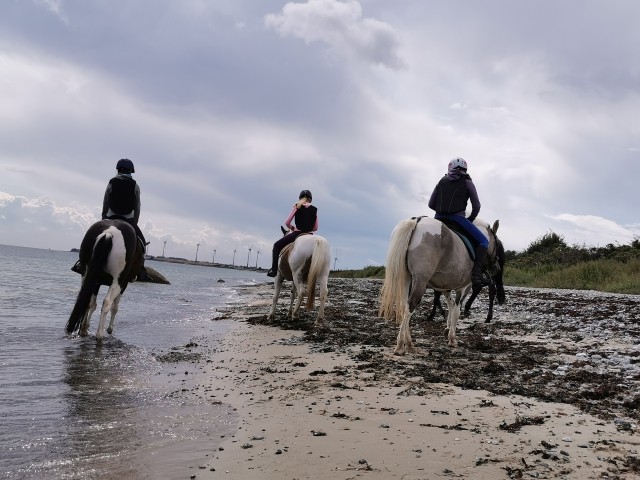 Ausritt zum Strand