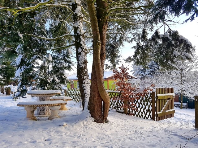 Weg zur Gartensauna