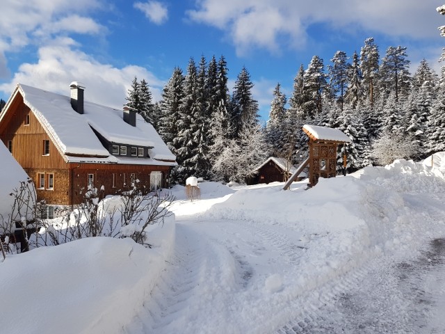 Einfahrt zum Haus