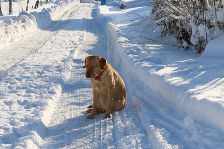 unsere Straße im Winter 