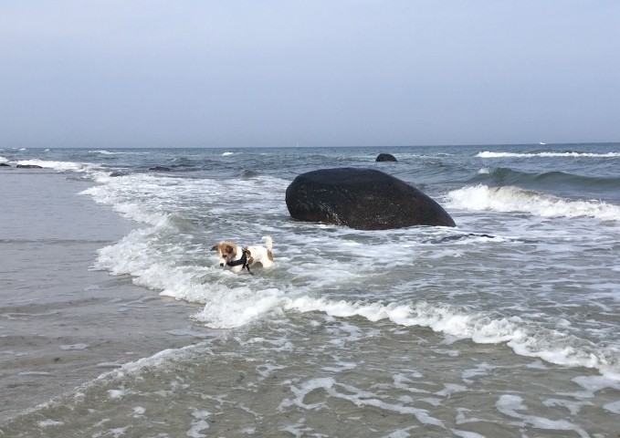 wo ist mein Ball