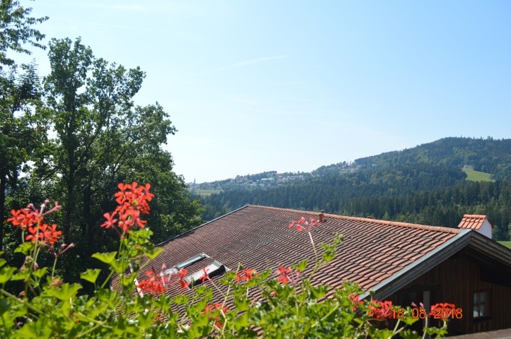 Blick vom Balkon